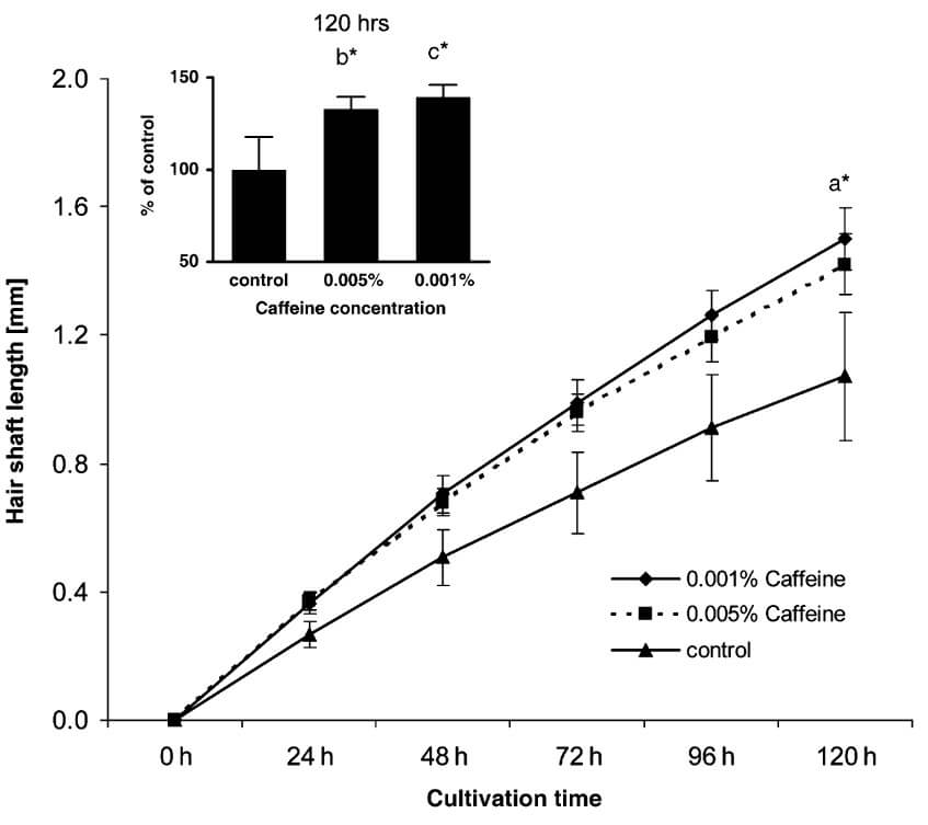 Hair shaft length after cultivation in caffeine