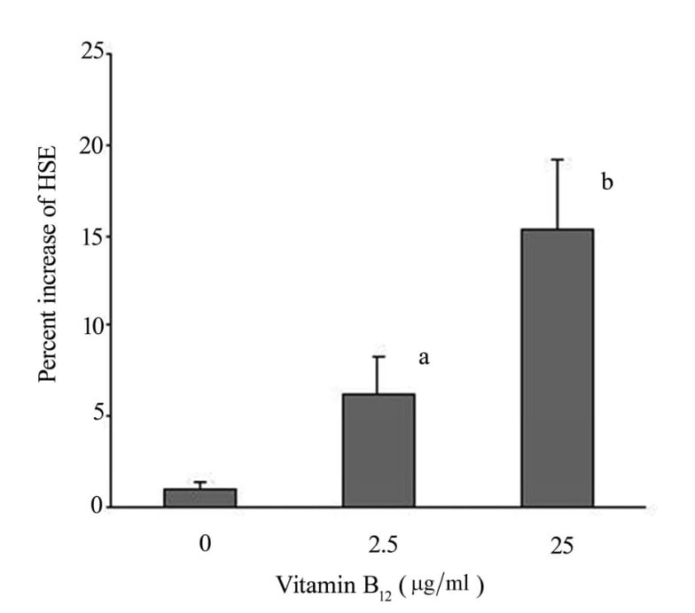 The effects of vitamin B12 on percent change of hair shaft elongation