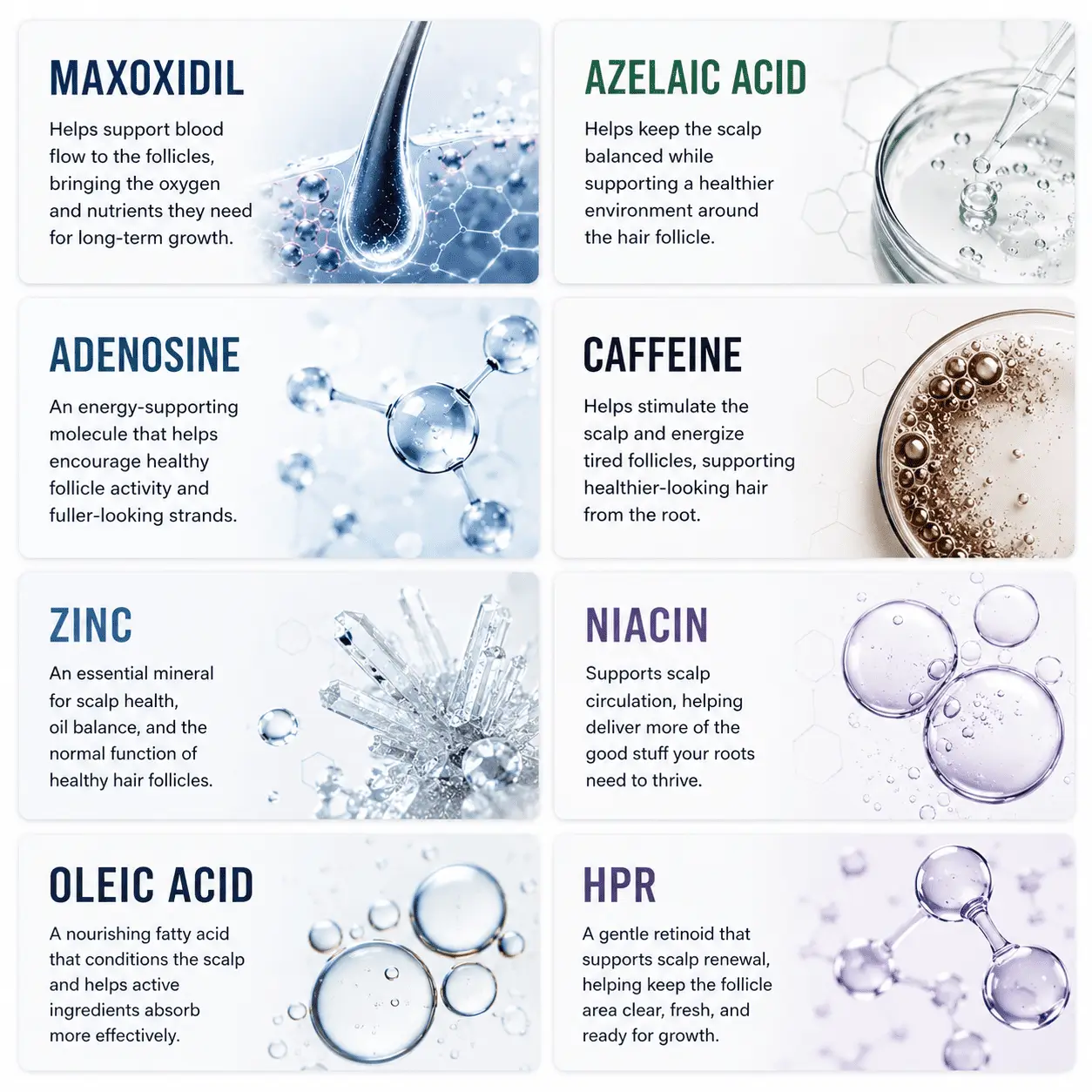 Maxoxidil Ingredients